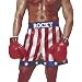 Rocky Boxing Gloves
