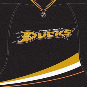 NHL Anaheim Ducks Dark Jersey Canvas Print (20 x 20)