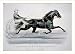 Historic Print (L): The Black Gelding Frank, by Pathfinder 2nd: Driven by A.J. Feek of Syracuse. Record, 2:2