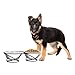PETMAKER Stainless Steel Raised Food & Water Bowls with Decorative 3.5â€ Tall Stand for Dogs & Cats-2 Bowls, 40oz Each-Elevated Feeding Station