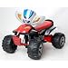 QUAD Cyclone Racer Electric Bike 06-BK-RE
