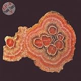 Found Tapes イーピーフォー