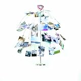 Fotofalls Multi-Level Photo Organizer
