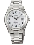 ORIENT オリエント スイマー WW0011VDの画像