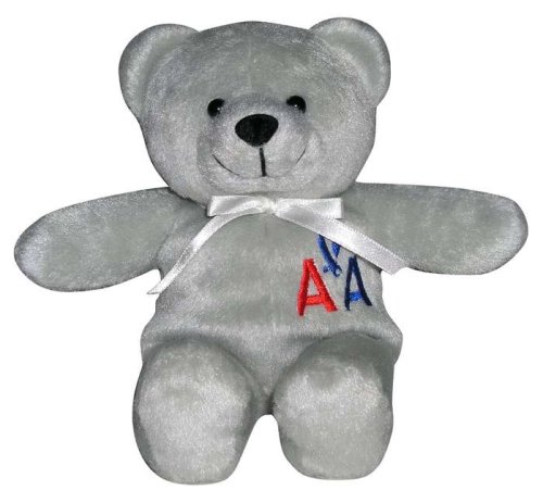 41LzAz2JK2L American Airlines Plush Teddy Bear