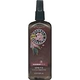 Clairol Herbal Essences Styling Spritz Maximum Hold 8.5OZ