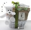 Grow a Tree for Baby Eco-Friendly Baby Shower Gift Basket