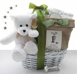Grow a Tree for Baby Eco-Friendly Baby Shower Gift Basket