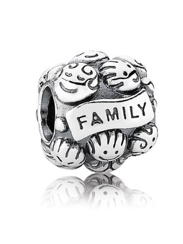 Pandora Love & Family 791039
