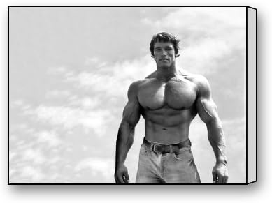 Contracted Arnold Schwarzenegger Canvas Print 20x16 Inch The Portable