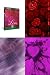 All Products : Love - Digital Backgrounds