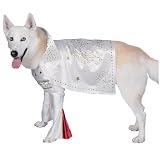 Rock Superstar Pet Costume