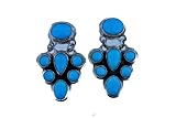 Sleeping Beauty Turquoise Earrings
