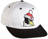 NCAA Youngstown State Penguins Primary Mascot White College Snap Back Team Hat