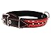 Genuine Leather Braided Studded Dog Collar,Red on Black 1.25