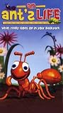 An Ant's Life - What really goes on in your backyard.