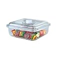 FoodSaver T02-0050-05 Quick Marinator 2-1/4-Quart Square Canister