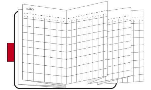 Project Planner Pocket 12M Accordian (Moleskine Legendary Notebooks (Calendars))