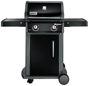 barbecue weber 2 bruleurs