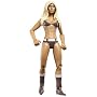 WWE Ruthless Aggression 28 Torrie Wilson