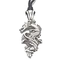 Elemental Water Dragon Pendant (Focus on Success) Necklace