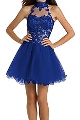 Lace Illusion Open-Back Tulle Short Halter Sleeveless Party Dress/Wedding Dress 