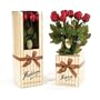 Long Stem Chocolate Red Roses Bouquet Gift Box