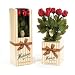 Long Stem Chocolate Red Roses Bouquet Gift Box