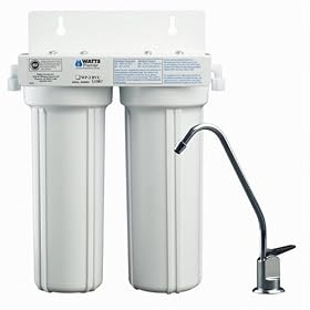Watts WP2BVC Premier Two-Stage Microbiological Purifier Water Filtration System