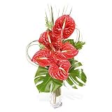 Review Flowers Direct  / Anthurium vase arrangement - Send Contemporary Floral Arrangement of Fresh Flowers