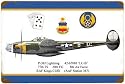 P-38 Lightning Aircraft Sign