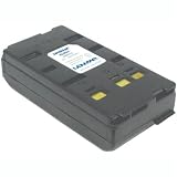 Lenmar NMH12 Battery for Panasonic Camcorders