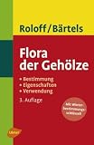 Flora der Geh&ouml;lze - Bestimmung - Eigenschaften - Verwendung - Andreas Roloff | Andreas B&auml;rtels