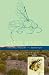 The Sand Wasps: Natural History and Behavior