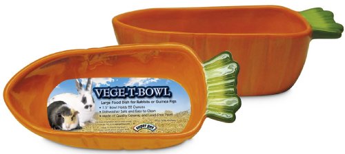 Super Pet Vege-T-Bowl, Carrot, 22 Ounces