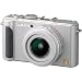 Panasonic DMC-LX3S 10.1MP Digital Camera with 2.5x Wide Angle MEGA Optical Image Stabilized Zoom (Silver)