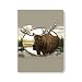 ECOeverywhere Wilderness Moose Sketchbook, 160 Pages, 5.625 x 7.625 Inches (sk11082)