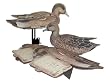 Widgeon 6 Pak Kit Duck Decoys Duck