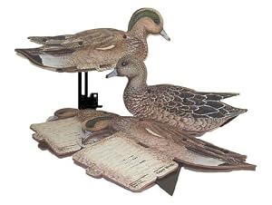 Widgeon 6 Pak Kit Duck Decoys Duck