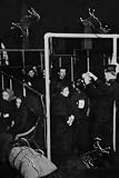 Art Poster, Examining Eyes at Ellis Island - 18.75 x 27.5