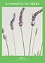 A Handful of Herbs