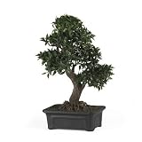 41M0DciSBWL. SL160  Nearly Natural Japanese Ficus Bonsai 24 inch Silk Plant