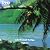virtual trip TAHITI [DVD]