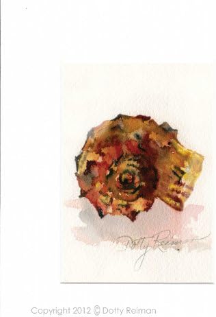 Seashell Art 5 x 7 inch print by Dotty Reiman - Fits into an 8 x 10 inch frame