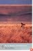 Out of Africa (Penguin Modern Classics)