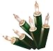 Kitchen & Housewares : Premier L1024C 40 Clear Fairy Lights Indoor