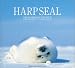 HARP SEAL―カナダ・氷海に生きるタテゴトアザラシ (青菁社フォトグラフィックシリーズ)