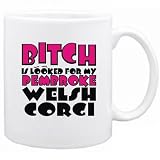 New  Bpembroke Welsh Corgitch Is Looked For My Pembroke Welsh Corgi  Mug Dog