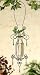 SohoDecor Charisma Collections Plant Planter Vase - Harmony - Clear