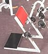 Maxicam Standing Preacher Curl Press